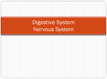 Respiratory System Cardiovascular System