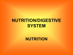NUTRITION/DIGESTIVE SYSTEM
