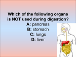 Quiz The digestive system