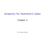 Anatomy for Nutrition`s Sake