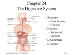 Chapter 24: Nutrition, Metabolism, and