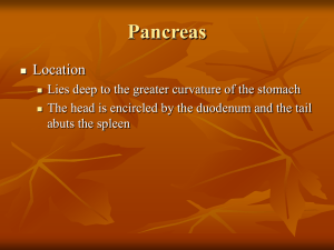 Digestive Part C