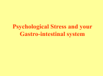 GutStress2001