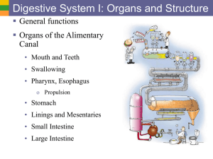 7a DigSys Ia- Organs and Structure