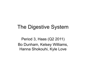 The Digestive System