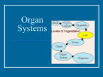 Organ Systems - BartlettsBiology11C