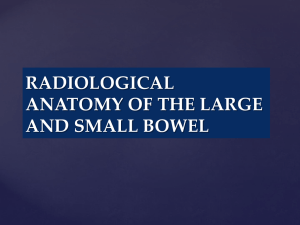 1-RADIOLOGICAL ANATOMY OF THE LARGE BOWEL 2nd year GI