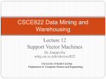 CSCE590/822 Data Mining Principles and Applications