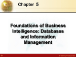 Foundations of Business Intelligence: Databases and Information