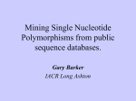 Mining Single Nucleotide Polymorphisms from public sequence