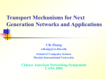 Prof. Chi ZHANG Transport Mechanisms for High