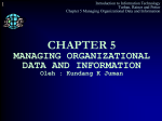 CHAPTER 5 MANAGING ORGANIZATIONAL DATA AND