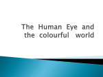 The Human Eye and the colourful world