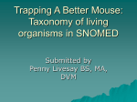 SNOMED CT Taxonomy Proposal