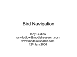 Bird Navigation - Model Research