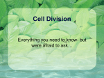 Cell Division - Downers Grove