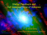 Stellar Feedback and Evolution of Milky Way