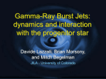 GRB jets and their interaction with the progenitor star