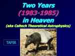 Two Years in Heaven (1983-1985) TAPIR