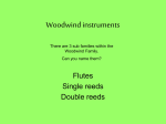 Woodwind instruments - Bellefonte Area School District