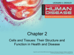 Cells_and_Tissues_in_Health_and_Disease