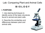 PowerPoint: Lab-Comparing Plant and Animal Cells