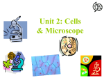 Unit 2: Cells & Microscope