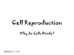 Cell Reproduction - SC TRITON Science