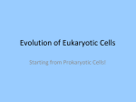Evolution of Eukaryotic Cells