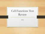 Cell Functions Test Review