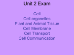 Unit 2 Exam Cell Cell organelles Plant and Animal Tissue