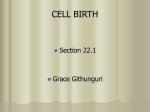 THE BIRTH OF CELLS - University of Central Oklahoma