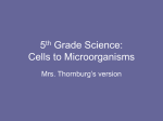 5th Grade Science Cells to Microorganisms