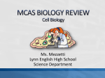 MCAS BIOLOGY REVIEW Cell Biology