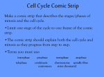 Cell Cycle Comic Strip
