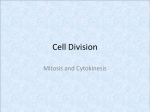Cell Division - Mediapolis Community School