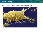 Chapter 3, Section 1 - Biology and Anatomy