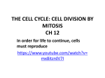 THE CELL CYCLE: CELL DIVISION BY MITOSIS CH 12