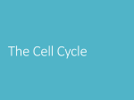 Cell Division - Cowley's Science Classes