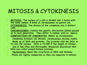 MITOSIS & CYTOKINESIS