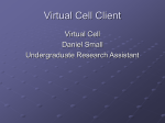 Virtual Cell Client