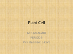 Plant Cell