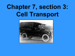 Cell Transport