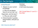 5.1 The Cell Cycle