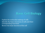 Basic Cell Biology