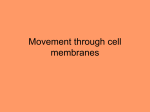 Movement through cell membranes