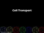 Cell Transport - St. Mary Catholic Secondary School