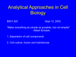 Analytical Approaches in Cell Biology