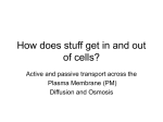 How does stuff get in and out of cells?