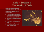 Section 1 The World of Cells